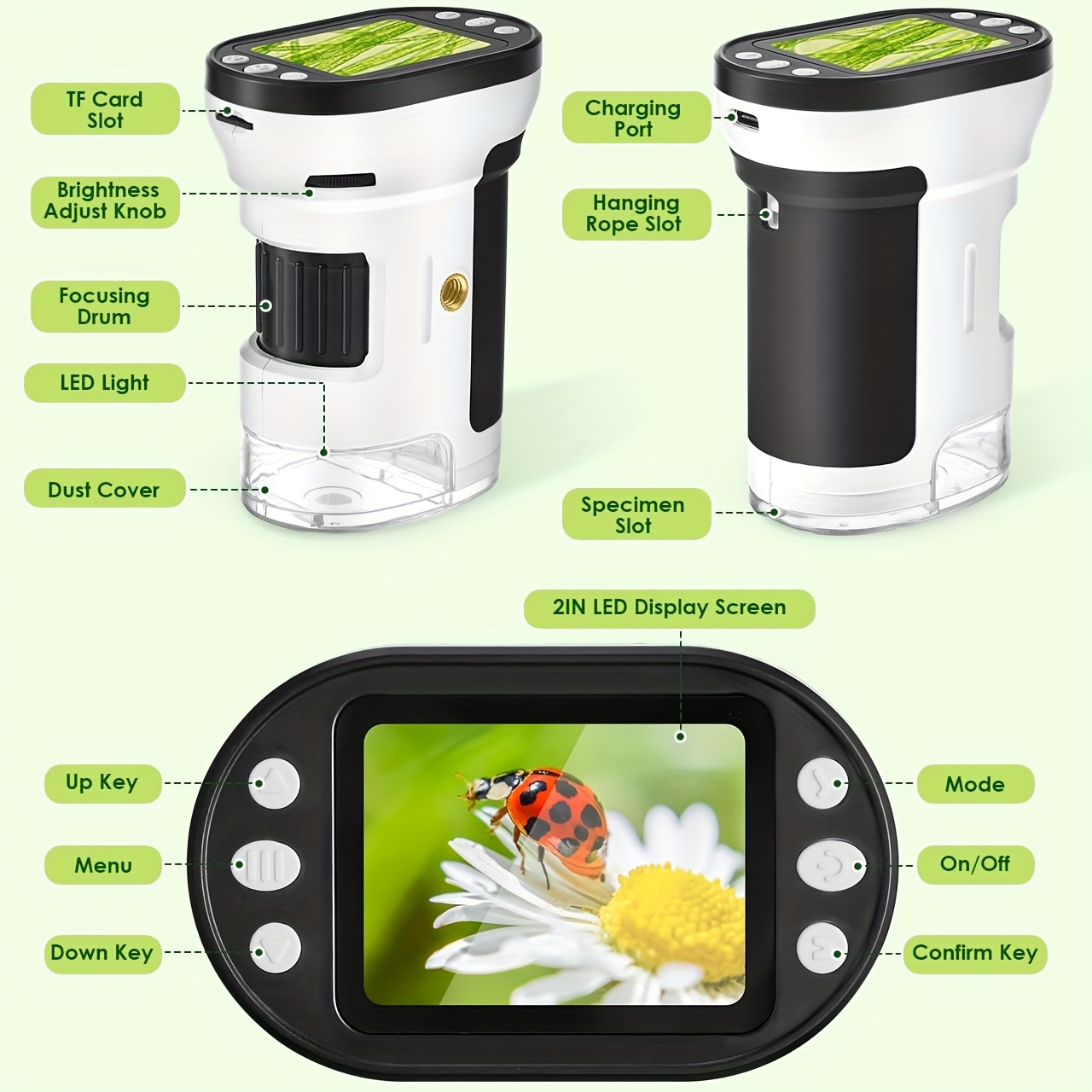 Kit de Microscópio Biológico p - Kids Educational Videos avaliação e preço